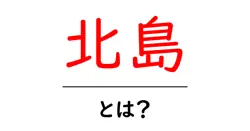 北島・とは？初心者が知るべき基本ガイド共起語・同意語・対義語も併せて解説！