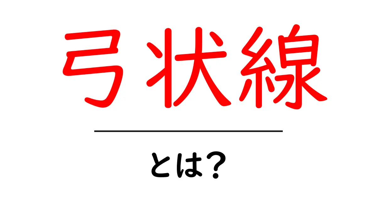 弓状線・とは?初心者にもわかる意味と使い方ガイド共起語・同意語・対義語も併せて解説!