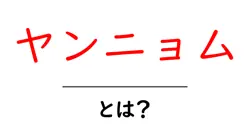ヤンニョムとは?家庭で作る基本レシピと使い方を徹底解説共起語・同意語・対義語も併せて解説!