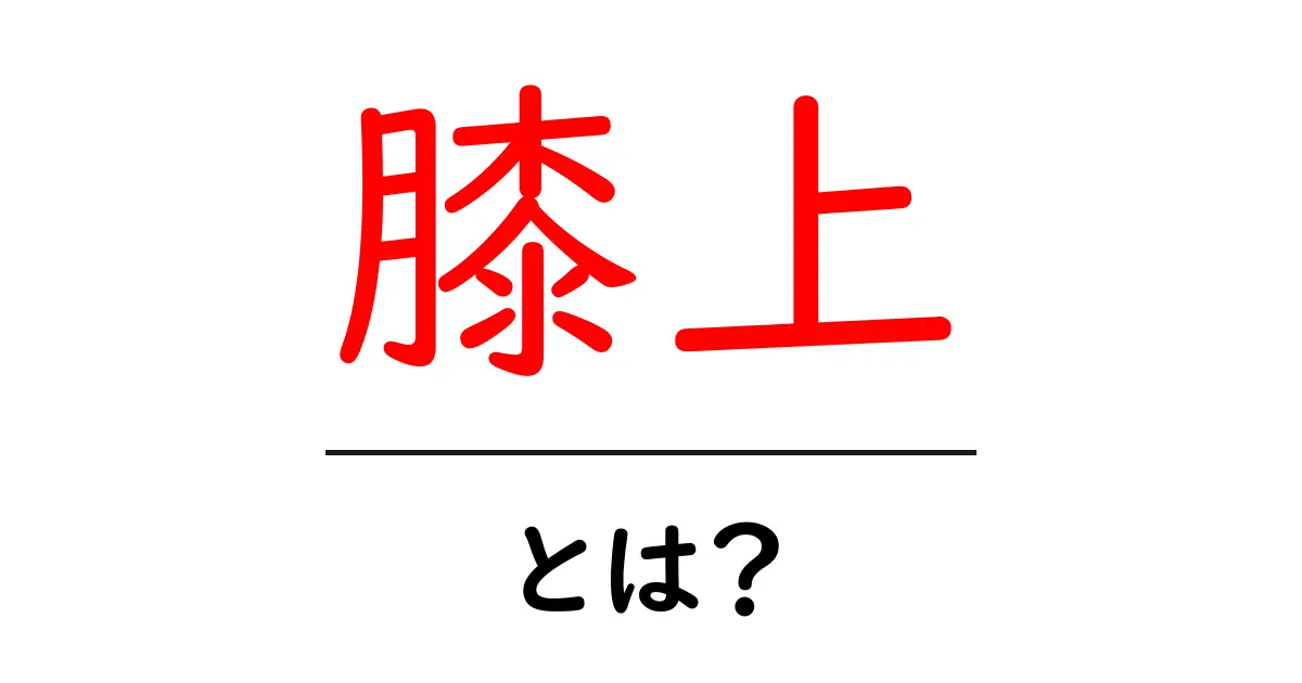 膝上・とは？初心者にもわかる基本と使い方ガイド共起語・同意語・対義語も併せて解説！
