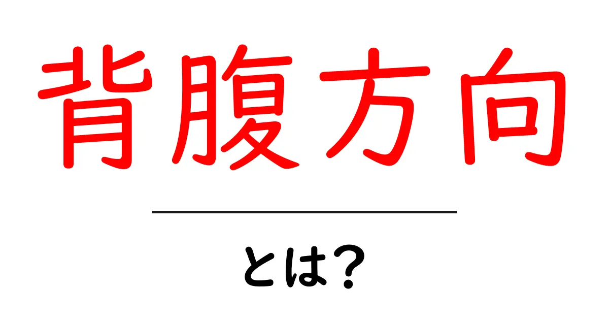 背腹方向・とは？初心者向けに解説する基本ガイド共起語・同意語・対義語も併せて解説！