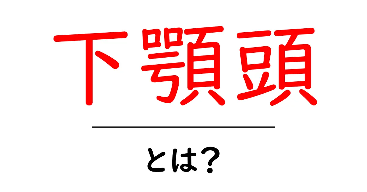 下顎頭・とは？噛み合わせの鍵になる顎の要所をやさしく解説共起語・同意語・対義語も併せて解説！