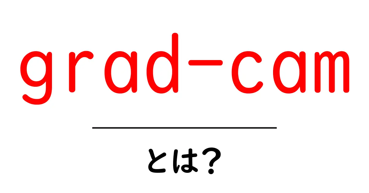 grad-camとは？初心者向けAIの判断を可視化する方法共起語・同意語・対義語も併せて解説！