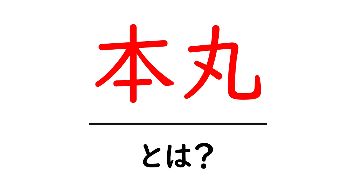 本丸・とは？初心者にもわかる意味と使い方ガイド共起語・同意語・対義語も併せて解説！