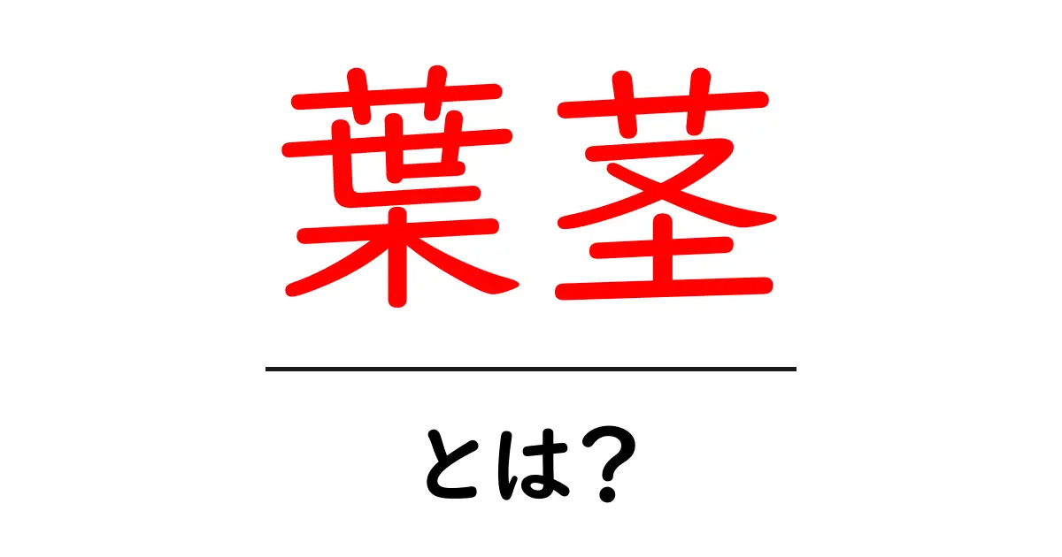 葉茎とは？中学生にもわかる基本ガイド共起語・同意語・対義語も併せて解説！