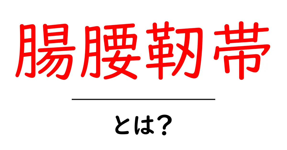 腸腰靭帯とは？ 体のしくみと役割をやさしく解説共起語・同意語・対義語も併せて解説！