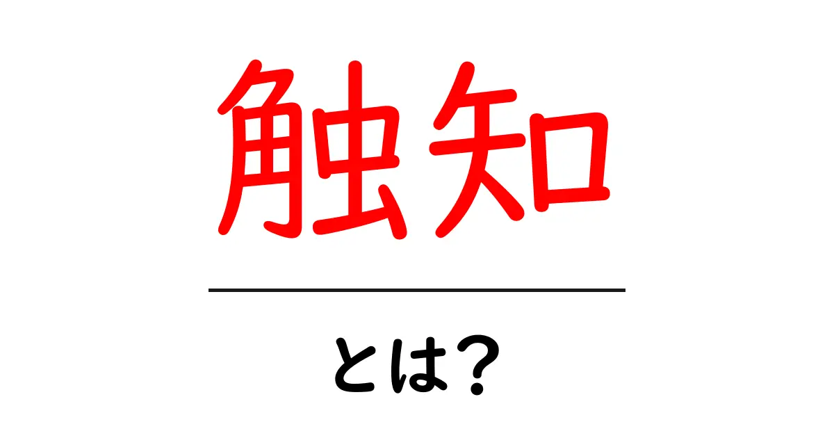 触知とは？初心者にもわかる意味と実生活での使い方を徹底解説共起語・同意語・対義語も併せて解説！