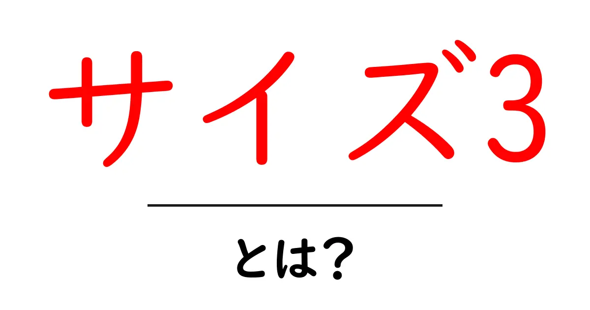 サイズ3・とは？初心者にもわかる意味と使い方ガイド共起語・同意語・対義語も併せて解説！