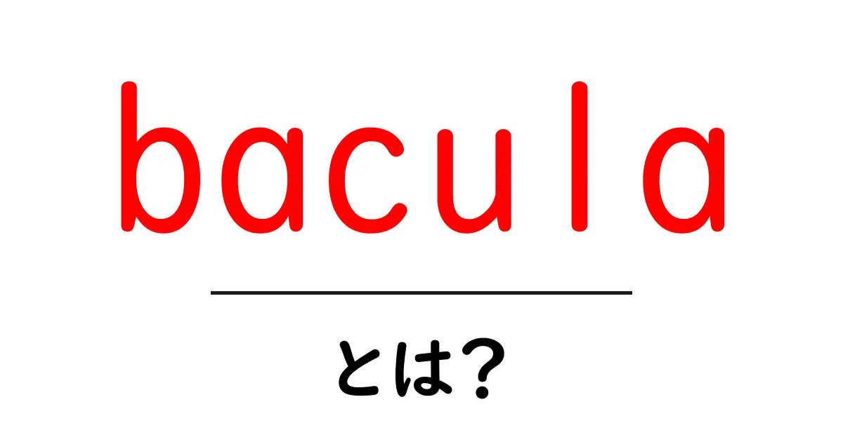 bacula・とは？初心者が知っておくべきバックアップ管理ツールの基礎共起語・同意語・対義語も併せて解説！