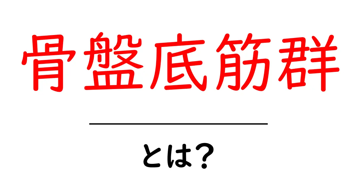 骨盤底筋群・とは？初心者にも分かるやさしい解説とトレーニングのコツ共起語・同意語・対義語も併せて解説！