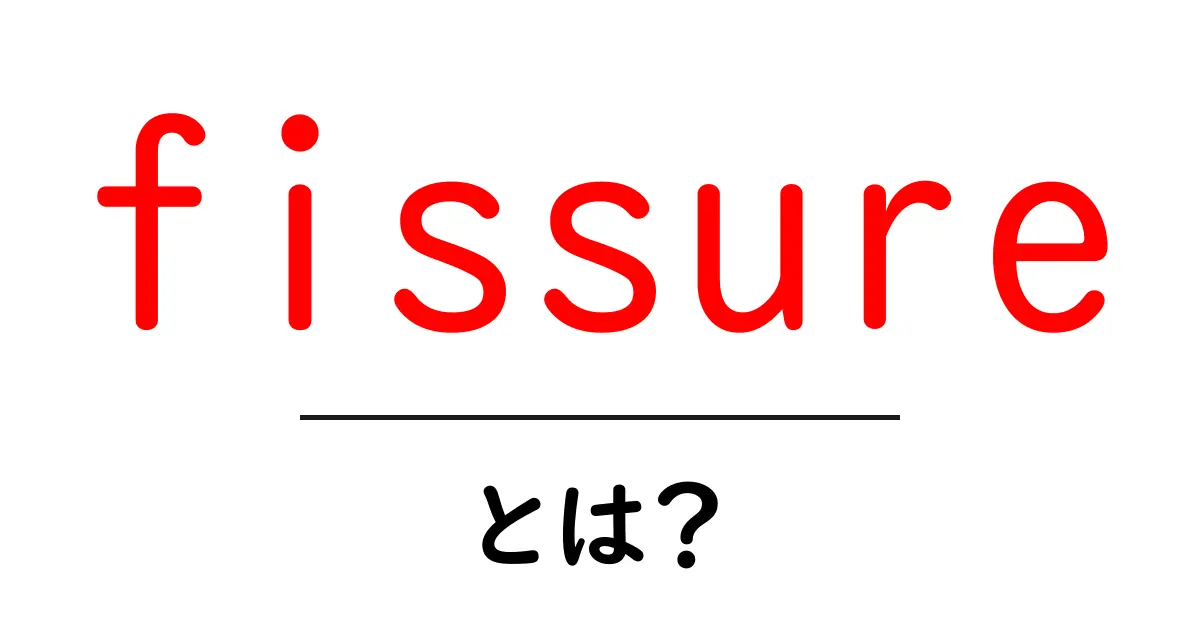 fissureとは？初心者にも分かる意味・種類・使い方を徹底解説共起語・同意語・対義語も併せて解説！