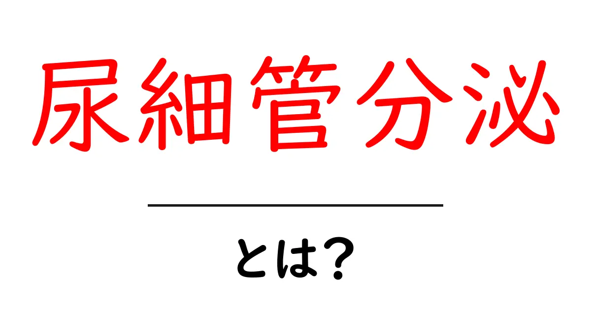 尿細管分泌とは？ 基礎から学ぶしくみと役割共起語・同意語・対義語も併せて解説！