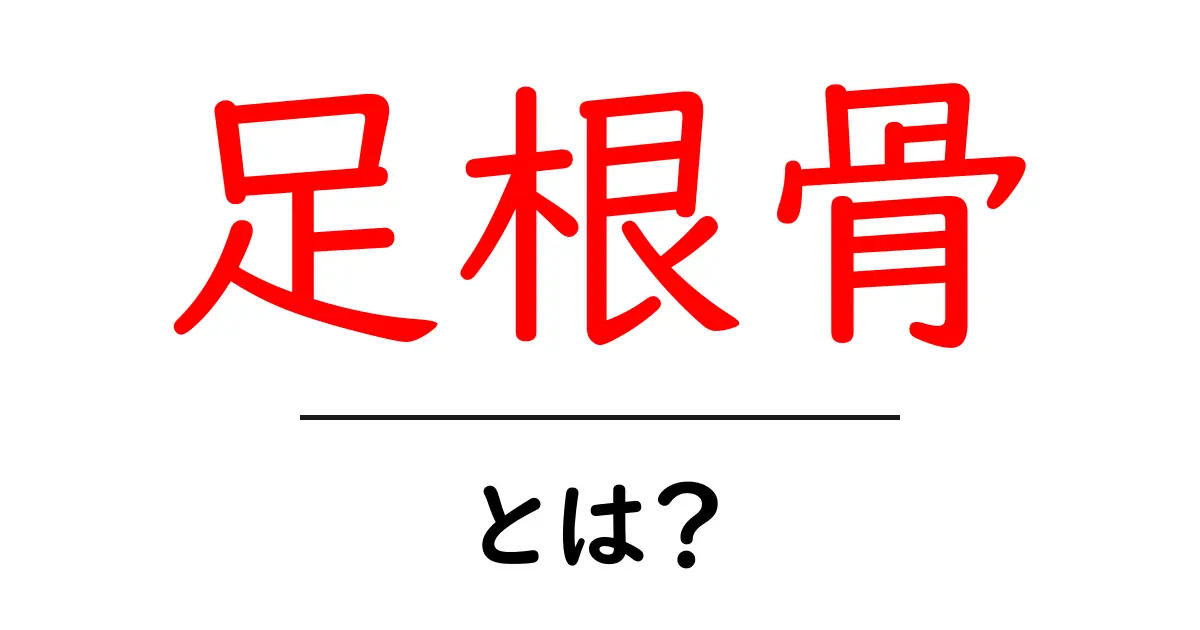 足根骨・とは?足の土台を支える7つの骨をやさしく解説共起語・同意語・対義語も併せて解説!
