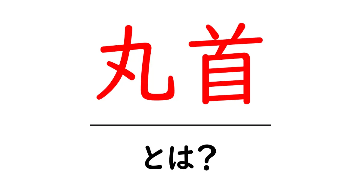 丸首・とは？初心者にもわかる基本と選び方ガイド共起語・同意語・対義語も併せて解説！