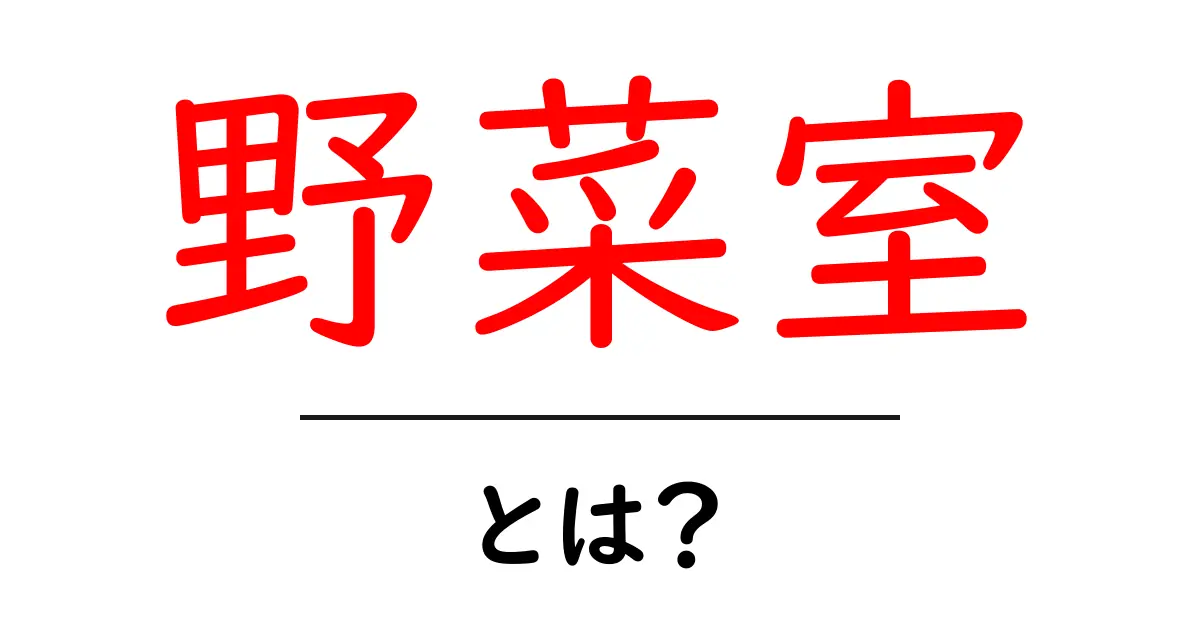 野菜室とは？初心者でも分かる冷蔵庫の野菜室の使い方とコツ共起語・同意語・対義語も併せて解説！