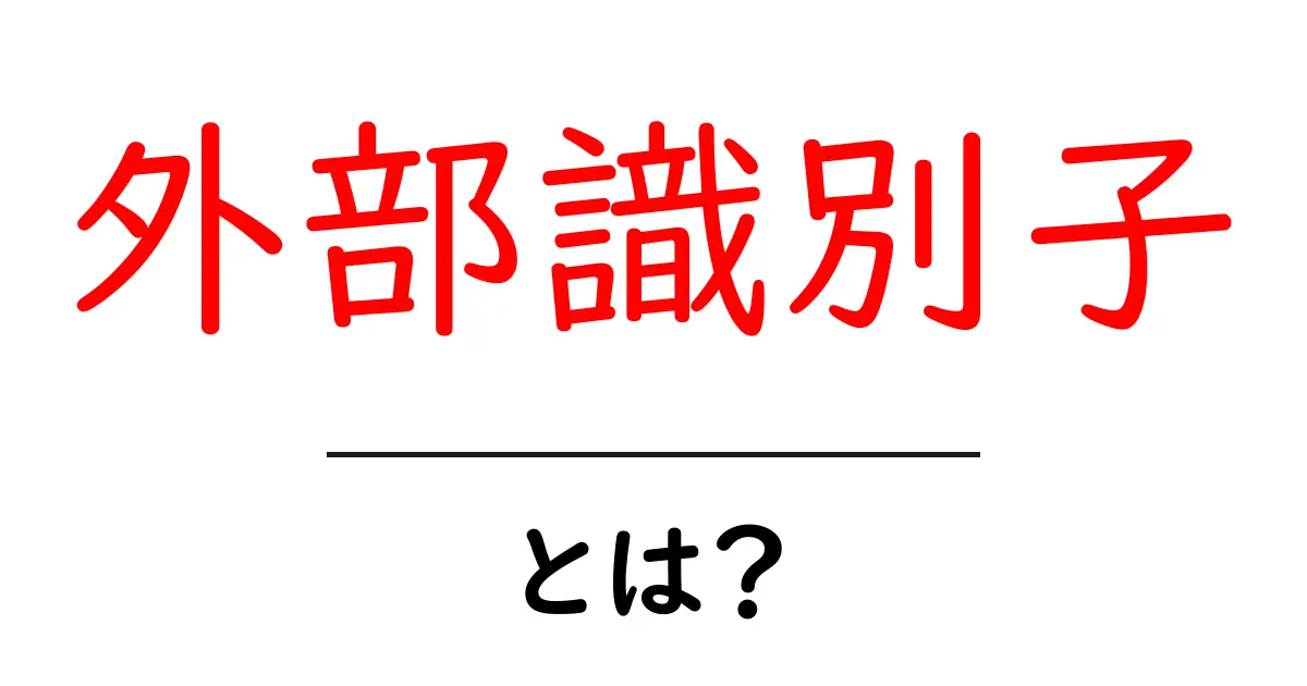 外部識別子・とは？初心者にもわかる使い方とポイント共起語・同意語・対義語も併せて解説！