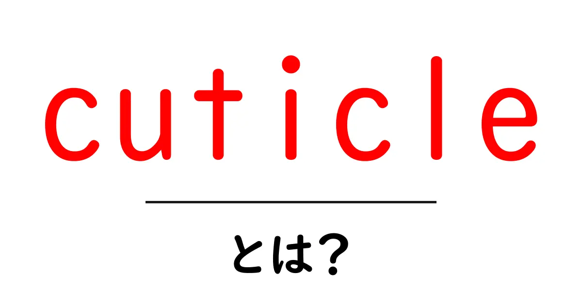 cuticleとは？初心者向け解説：意味・種類・ケアの基本共起語・同意語・対義語も併せて解説！