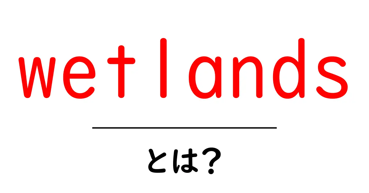 wetlandsとは？湿地のしくみと大切さを学ぶ入門ガイド共起語・同意語・対義語も併せて解説！