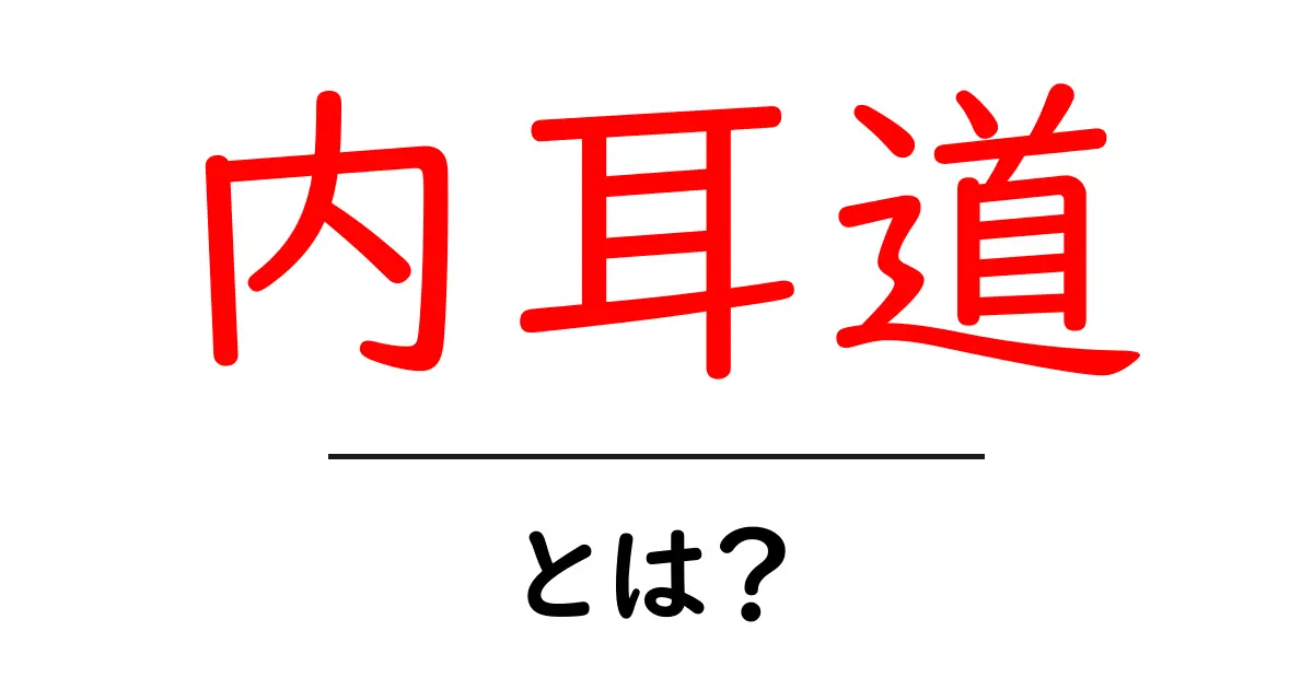 内耳道とは？初心者向けのやさしい解説ガイド共起語・同意語・対義語も併せて解説！