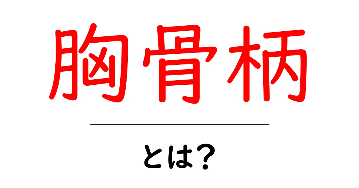 胸骨柄・とは?初心者でも分かる解説とポイント共起語・同意語・対義語も併せて解説!