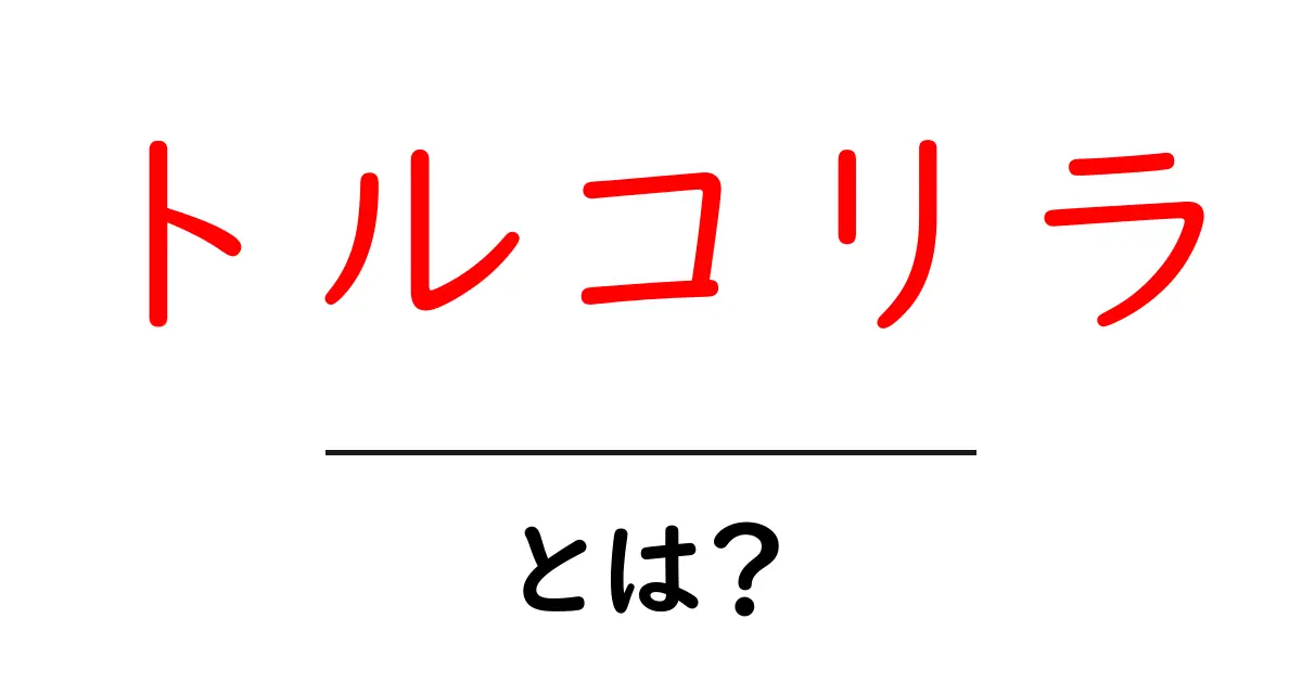 トルコリラとは？初心者にやさしい基礎解説と使い方のコツ共起語・同意語・対義語も併せて解説！