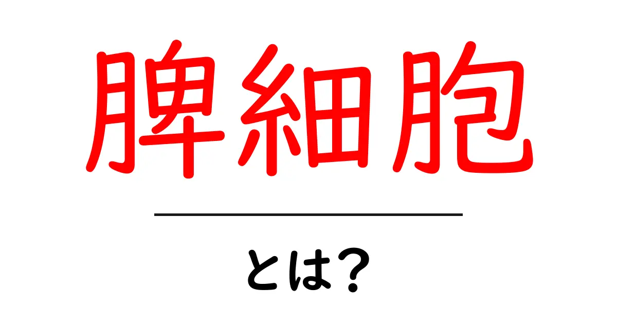 脾細胞・とは?初心者でもわかるやさしい解説共起語・同意語・対義語も併せて解説!