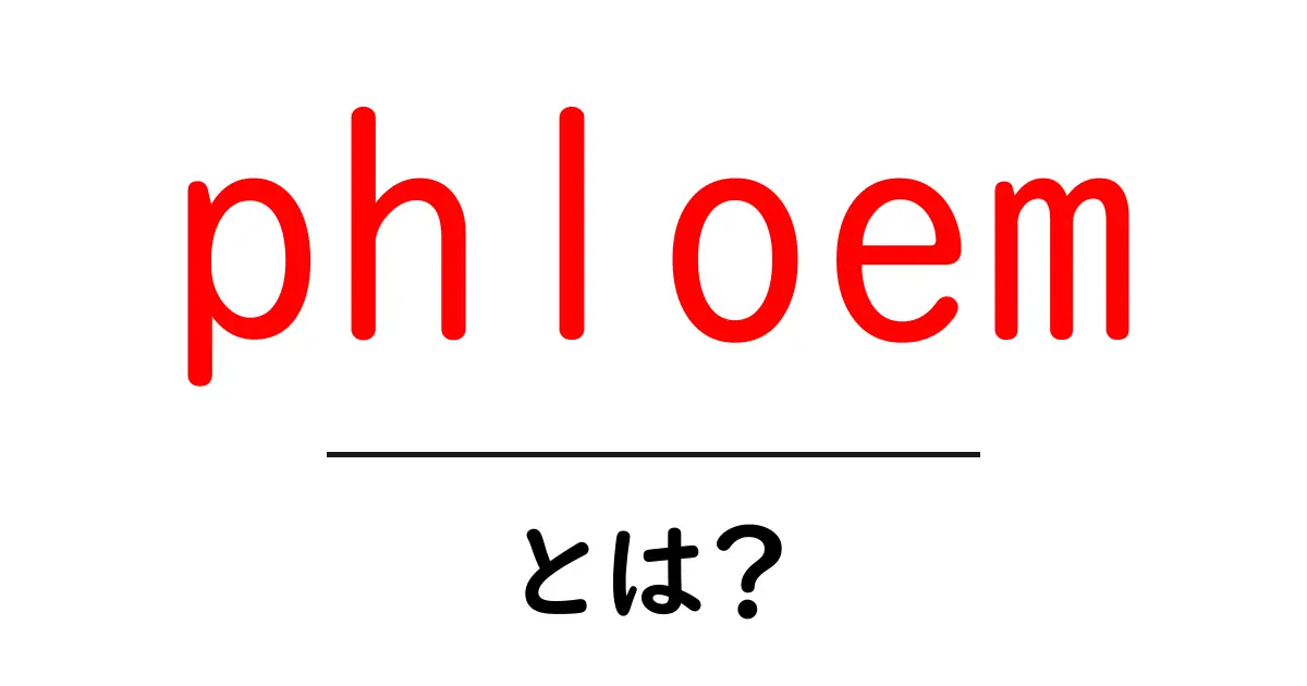 phloem・とは？植物の養分を運ぶヒミツの通り道をやさしく解説共起語・同意語・対義語も併せて解説！