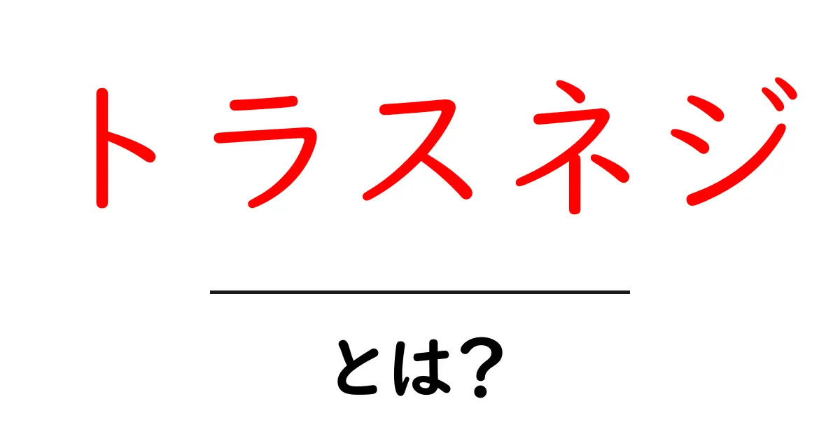 トラスネジ・とは？初心者向けガイド：基本を学ぶ共起語・同意語・対義語も併せて解説！
