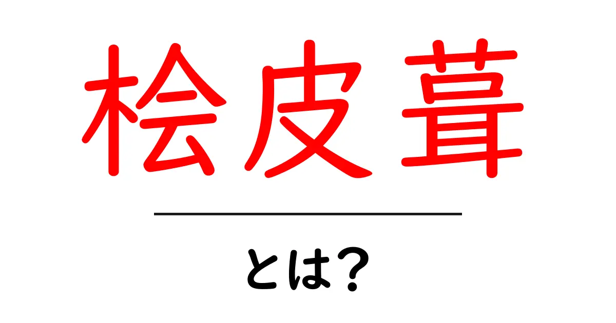 桧皮葺・とは？伝統の屋根を学ぶ初心者ガイド共起語・同意語・対義語も併せて解説！