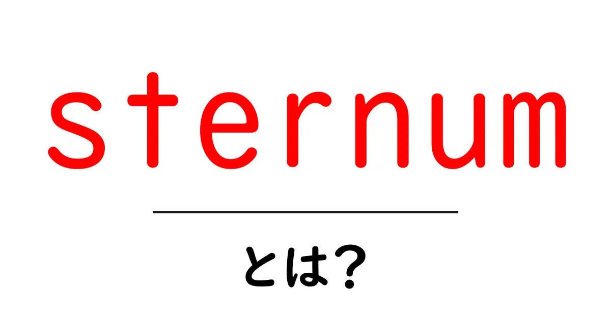 sternum・とは?体の中心を支える胸の骨をやさしく解説共起語・同意語・対義語も併せて解説!