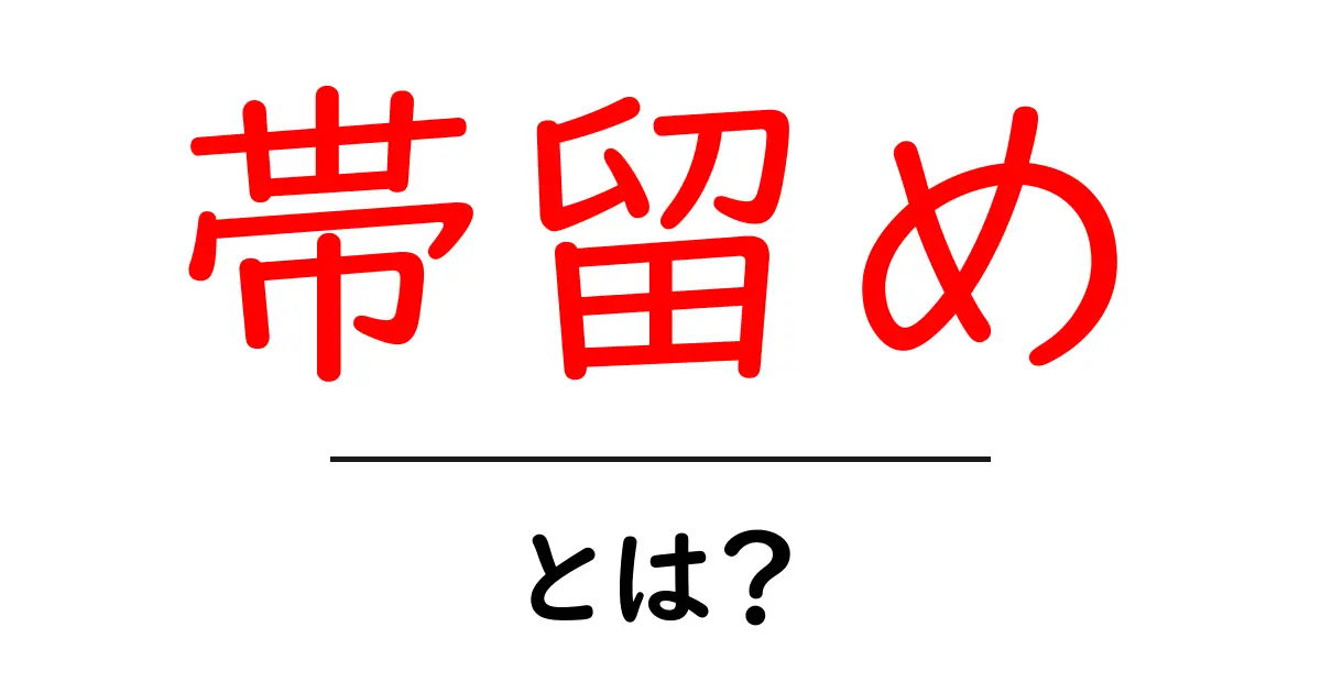 帯留め・とは？初心者でも分かる基本ガイドと使い方のコツ共起語・同意語・対義語も併せて解説！