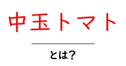 中玉トマトとは?特徴・育て方・食べ方をやさしく解説共起語・同意語・対義語も併せて解説!