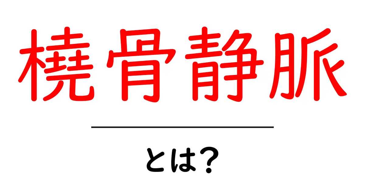 橈骨静脈とは？前腕の血管をやさしく解説共起語・同意語・対義語も併せて解説！