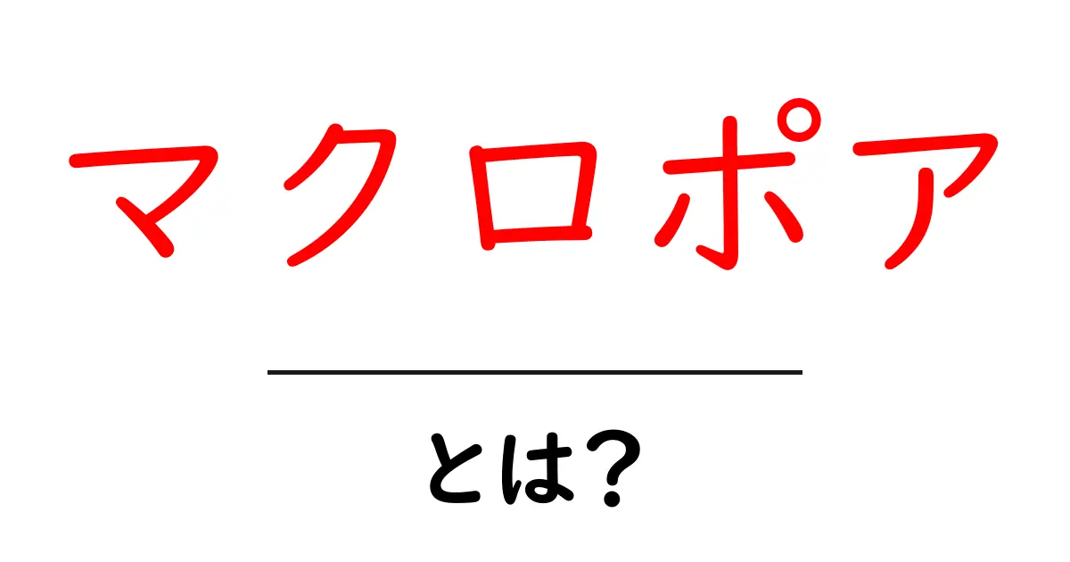 マクロポアとは？初心者のための意味と使い方ガイド共起語・同意語・対義語も併せて解説！