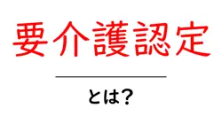 要介護認定とは？ 初心者向けガイド 申請の手順と基礎知識共起語・同意語・対義語も併せて解説！