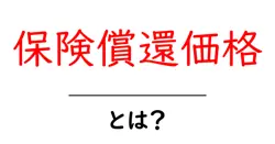 保険償還価格・とは？初心者向けにわかりやすく解説共起語・同意語・対義語も併せて解説！