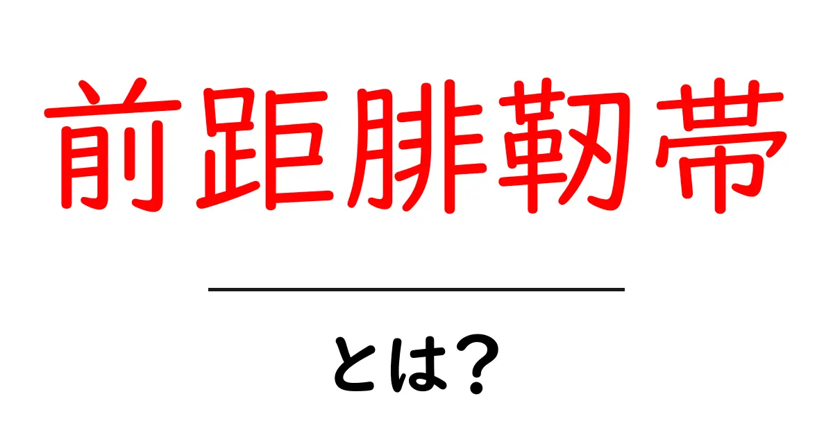 前距腓靭帯とは？足首の大切な靭帯をやさしく解説共起語・同意語・対義語も併せて解説！