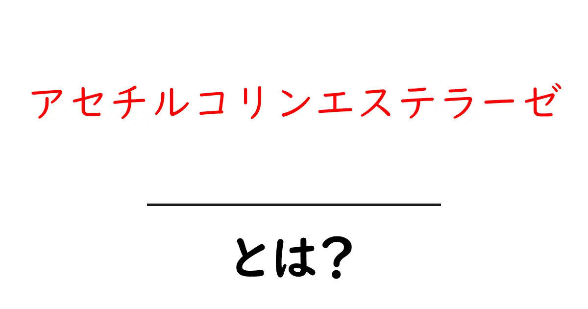 アセチルコリンエステラーゼとは何かをやさしく解説する基礎ガイド共起語・同意語・対義語も併せて解説！