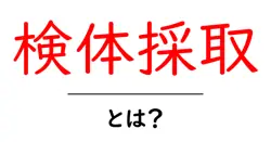 検体採取・とは？初心者向けガイド｜検査の基本をやさしく解説共起語・同意語・対義語も併せて解説！