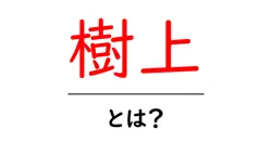 樹上とは?樹上の意味と使い方を初心者にもわかる解説共起語・同意語・対義語も併せて解説!