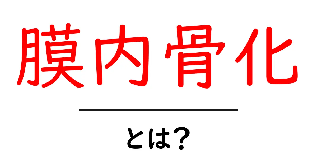 膜内骨化とは?膜内骨化のしくみをやさしく解説共起語・同意語・対義語も併せて解説!