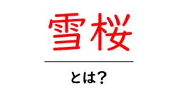 雪桜・とは？ 初心者でもわかる雪桜の意味と楽しみ方共起語・同意語・対義語も併せて解説！