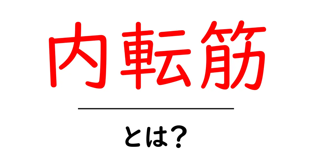 内転筋とは？初心者でも分かる解説とトレーニングのコツ共起語・同意語・対義語も併せて解説！