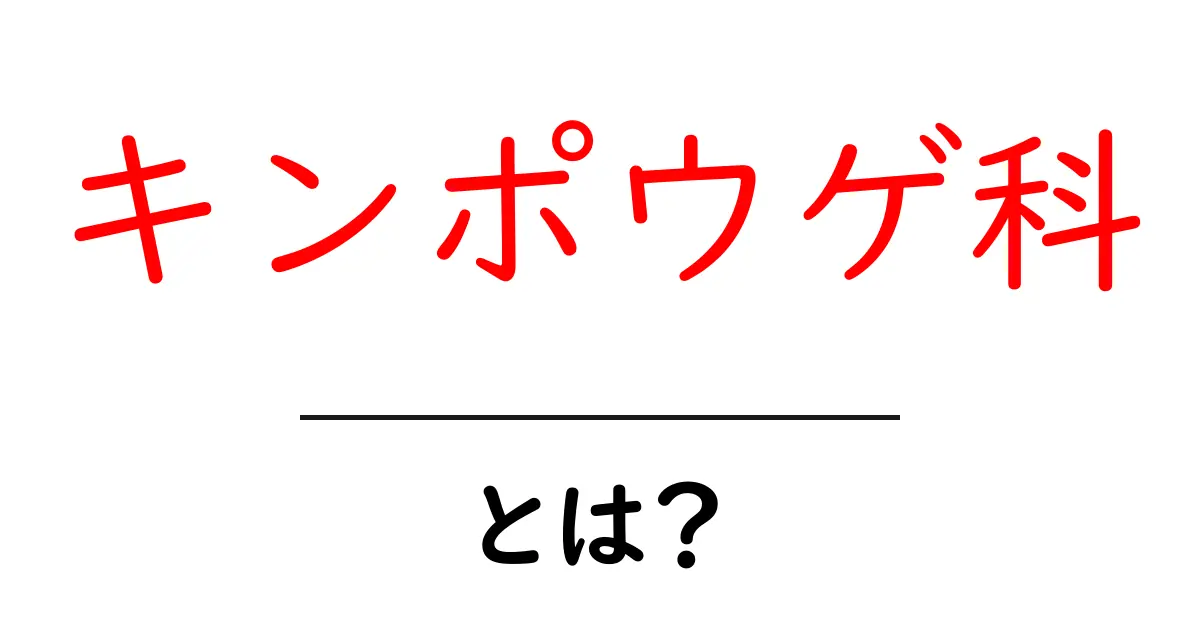 キンポウゲ科・とは?初心者でも分かる花の基本ガイド共起語・同意語・対義語も併せて解説!