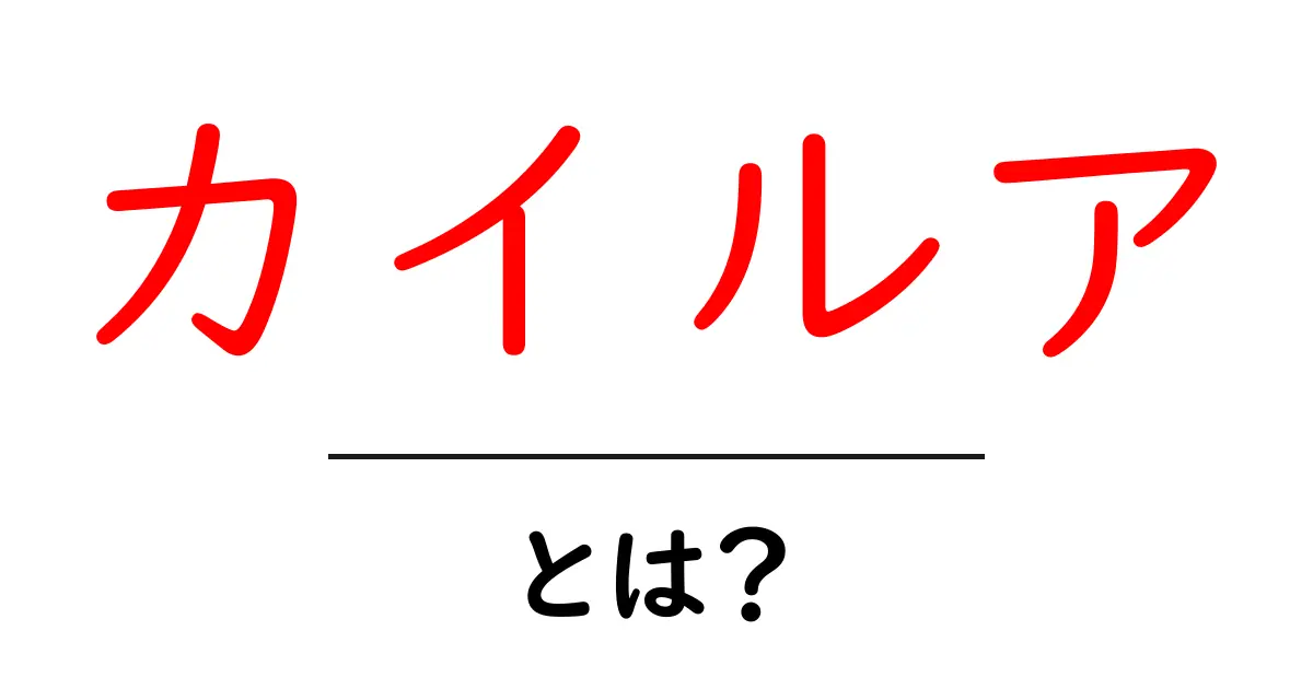 カイルアとは?初心者でもわかる基本と見どころを徹底解説共起語・同意語・対義語も併せて解説!
