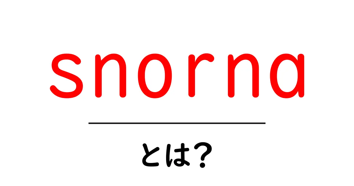 snornaとは？初心者にもわかる基本と使い方の完全ガイド共起語・同意語・対義語も併せて解説！