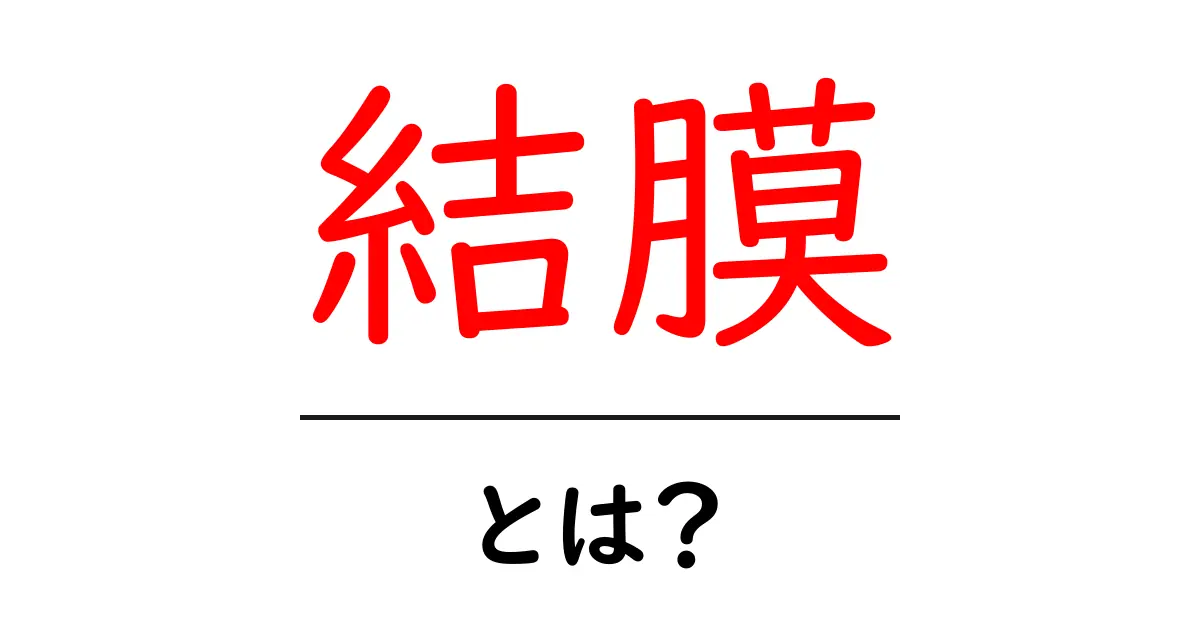 結膜とは？初心者向けに解説する目の薄い粘膜の役割とトラブル共起語・同意語・対義語も併せて解説！