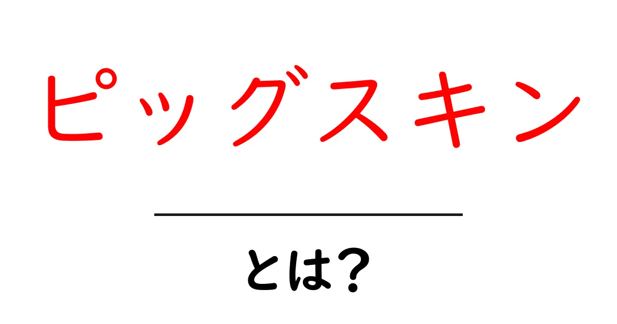 ピッグスキンとは？初心者にも分かる基礎と使い方ガイド共起語・同意語・対義語も併せて解説！