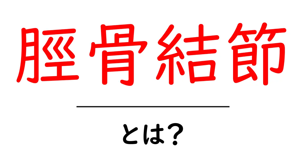 脛骨結節・とは?初心者にも分かる膝の基礎と役割を徹底解説共起語・同意語・対義語も併せて解説!