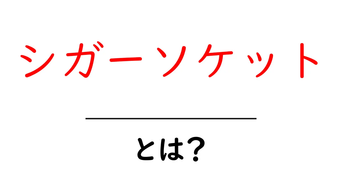 シガーソケット・とは？車の電源を使いこなす基本と安全な使い方ガイド共起語・同意語・対義語も併せて解説！